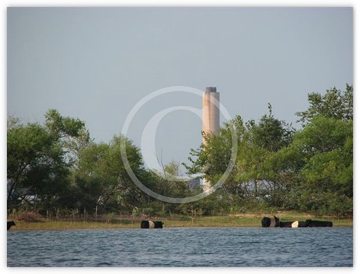 Images/LakeMurray3.jpg