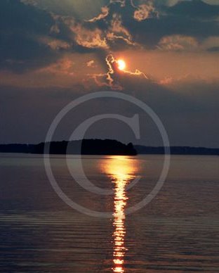 Images/photogallery12.jpg