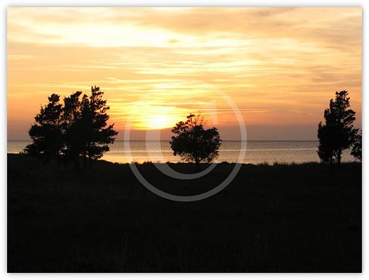 Images/photogallery23.jpg