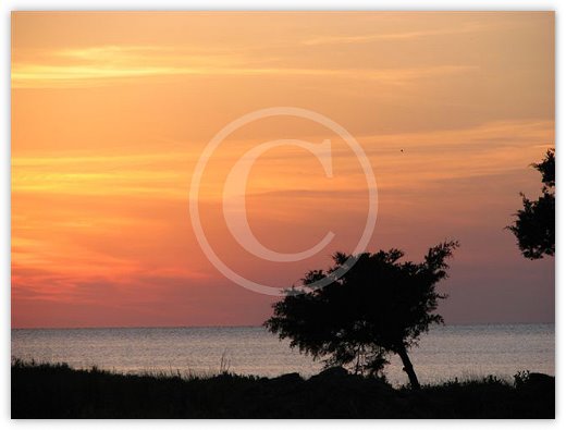 Images/photogallery26.jpg