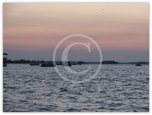 Images/photogallery28.jpg