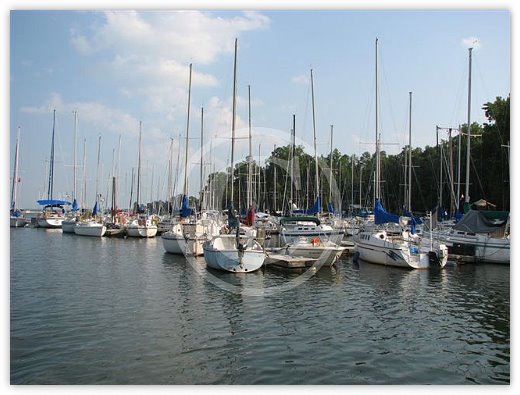 Images/photogallery31.jpg
