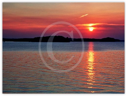 Images/photogallery5.jpg