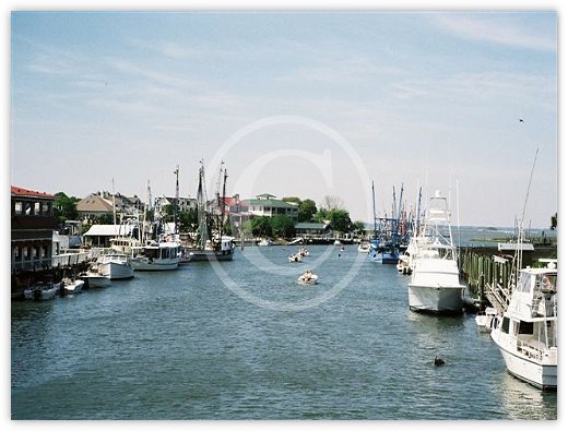 Images/Shemcreek2.jpg